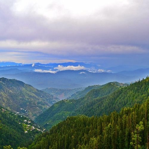 listing-details-carousel